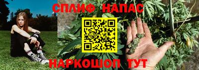 молекула духа Конаково