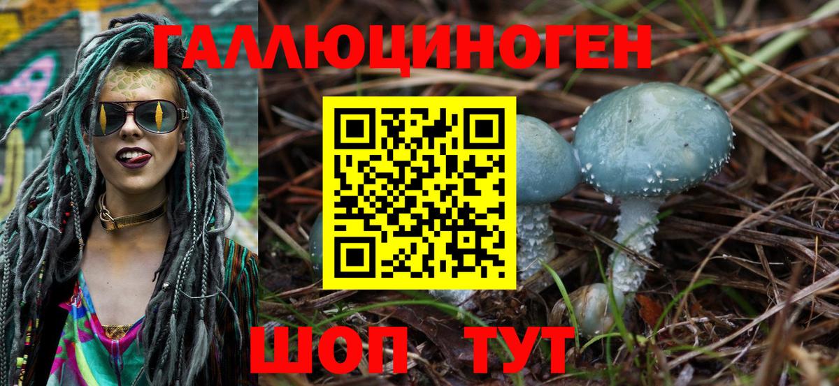 Кисловодск  Галлюциногенные грибы мицелий  Вход с VPN  Псилоцибиновые грибы Psilocybine cubensis 
