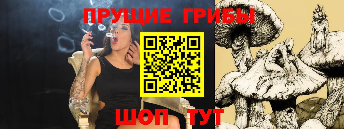 Галлюциногенные грибы мицелий Кисловодск