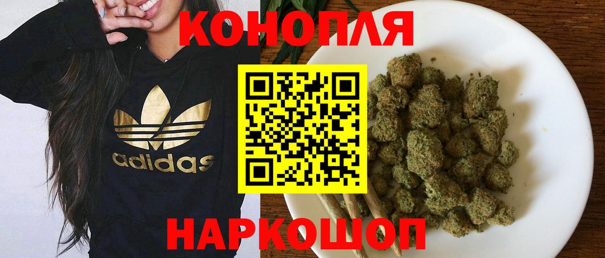 Каннабис план Кисловодск